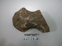 藏品(有腰打製石斧)的圖片